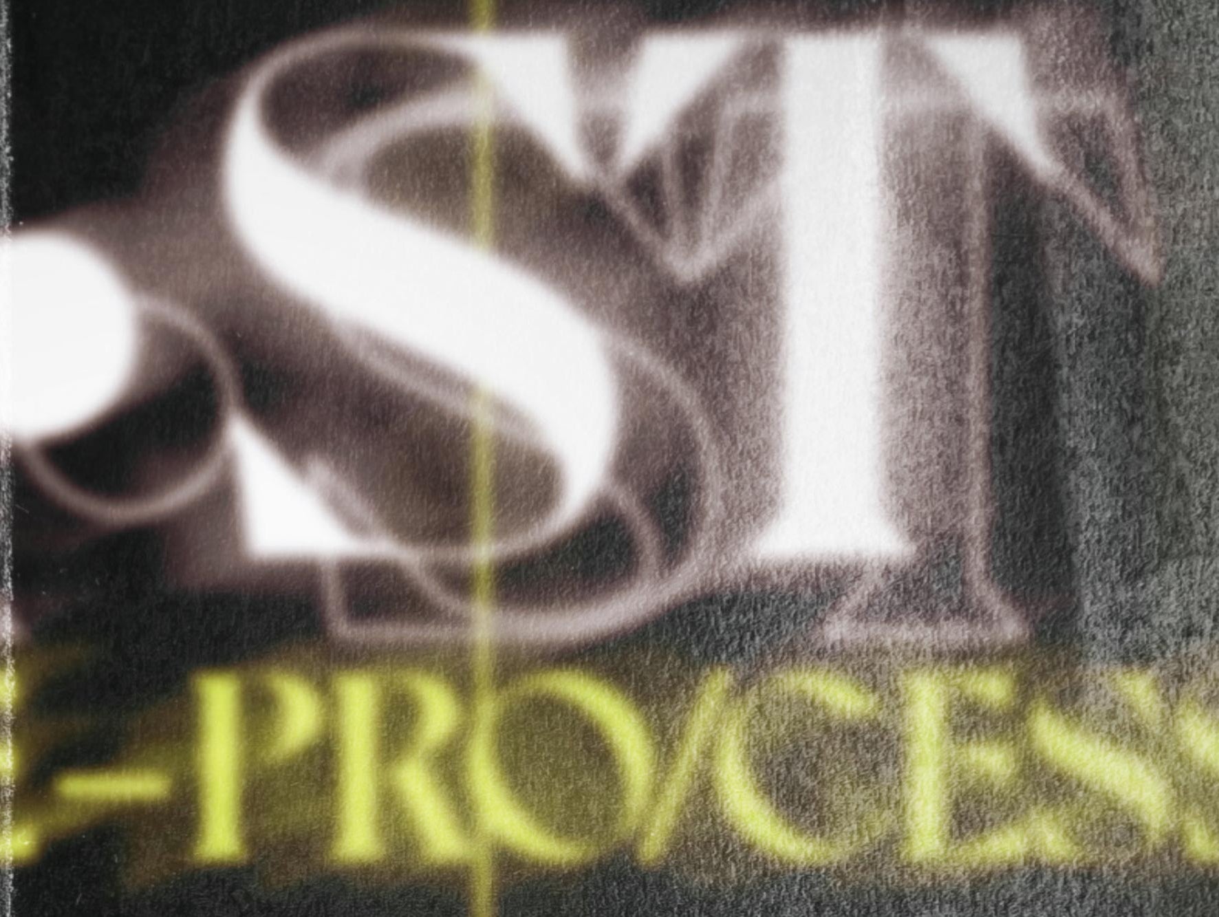 Es wird ein Ausschnitt von einer Grafik gezeigt. Man erkennt einen Teil des Logos von WE•TRST und das Wort «Process».